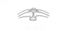 Ceuthophilus (Ceuthophilus) ensifer saxicola Hubbell, 1936: Fig. 639. male epiproct. (Otu).