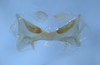 CollectionObject 1564448; e464a848-8f17-4b4c-9126-e57ea21341e2: epiphallus. (CollectionObject).