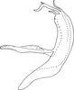 Aedeagus, lateral view on Edwardsiana ruthenica Zakhvatkin, 1929: Aedeagus, lateral view (Hungary). (Observation).