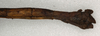 CollectionObject 1557662; NMW 514, b32b4a83-e098-43b8-a722-3c924c899011: copyright NMW, Vienna. female: end of abdomen, lateral view (syntype). (CollectionObject).