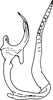 Aedeagus, lateral view on Empoascanara (Empoascanara) nigra Dworakowska, 1979: Aedeagus, lateral view. (Observation).