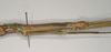 CollectionObject 1563705; NHMUK(SF IMPORT DUPLICATE) BMNH#845349, 383cc2a5-0e45-4be8-8134-ff451259e2ee: copyright Natural History Museum, London. female: head & thorax, lateral view (holotype). (CollectionObject).