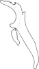 Aedeagus, lateral view on Distantasca serratipenis (Qin & Zhang, 2007): Aedeagus, lateral view. (Observation).