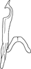 Stylus: Stylus, ventral view. (Observation).