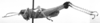 CollectionObject 1524869; e446e898-f676-4bbe-8e4d-7947028ea26a: Image Carbonell, C.S. male, lateral view (syntype or lectotype). (CollectionObject).