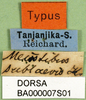 CollectionObject 1501092; c9185c61-5eb2-43ee-874c-392baa969405: labels (syntype). (CollectionObject).