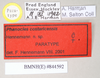 CollectionObject 1563900; NHMUK(SF IMPORT DUPLICATE) 844591-592, 2aa2e4b2-c696-4694-9198-2fb28c51cf20: copyright Natural History Museum, London. female, data labels (paratype). (CollectionObject).
