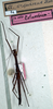 CollectionObject 1557782; NMW 64, d8b62e4c-4907-4032-8861-f888a6d85a22: copyright NMW. male (holotype). (CollectionObject).