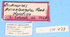 CollectionObject 1521119; 60596001-440f-43c9-8135-356c3fb21276: labels (holotype). (CollectionObject).