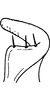 Stylus: Stylus. (Observation).