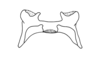 Eurotettix concavus Cigliano, 2007: Fig. 8AM. epiphallus, dorsal view. (Otu).