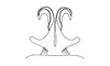 Atrachelacris unicolor Giglio-Tos, 1894: Fig. 3D. distal portion of phallic complex, dorsal view. (Otu).