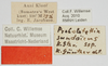 CollectionObject 1581300; b1382526-dcf8-4737-8db1-5b3c0cafed3c: labels. (CollectionObject).