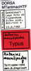 CollectionObject 1521369; 026c456f-19c1-4e17-adcf-99b638704cf8: labels (holotype). (CollectionObject).