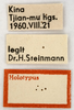 CollectionObject 1538226; 8d7447ef-b199-493a-be99-263e26e8e916: labels (holotype). (CollectionObject).