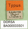 CollectionObject 1501474; 4f4db2d2-ae2b-4fe5-82f9-75454f9e52b3, DORSA BA000033S01: labels (holotype). (CollectionObject).