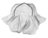 Ceuthophilus (Ceuthophilus) pima Hubbell, 1936: Fig. 4. Epiphallus. (Otu).