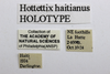 CollectionObject 1523457; d602ccb9-c57e-4340-96bf-37113c9de14a: labels (holotype). (CollectionObject).