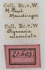 labels. Depicts CollectionObject 1532826; NMW 21.603, a67a38fe-2613-4825-b01b-a030508a9a96, a CollectionObject.