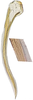 Ovipositor on Anuihuajianga pyramidalis Zhang & Song, 2022: valvula I, lateral view. (Observation).