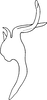 Aedeagus, lateral view: Aedeagus (D. funeta Mel.), lateral view. (Observation).