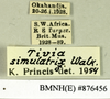 CollectionObject 1573111; f287e5d8-32b6-4936-a4cc-01422dcc790f: Copyright Natural History Museum, London. Labels from non-type (adult male) in BM(NH). (CollectionObject).
