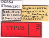 labels (allotype). Depicts CollectionObject 1530786; 9fee60a6-4c7a-40f5-b685-80c42fd33e62, a CollectionObject.