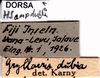 CollectionObject 1507142; 833b6803-5308-4770-abea-5a5066488905: labels. (CollectionObject).