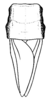 Hebardomastax atopa (Hebard, 1923): Pl. 12, Fig. 3 (after allotype). female, pronotum and tegmina, dorsal view. (Otu).