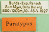 CollectionObject 1568775; 3a0433b0-8bcc-45ef-8107-f207e2717f6d: labels (paratype). (CollectionObject).