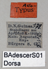 CollectionObject 1575289; bf5d5823-c1cc-49ec-8f66-8fc787aaeefd: female, labels (allotype). (CollectionObject).