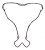 Scudderia curvicauda curvicauda (De Geer, 1773): Pl. IX, Fig. 7. male, last abdominal tergite, dorsal view. (Otu).