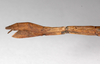 CollectionObject 1561970; e4248869-c52a-4275-bc3b-f6a9d6781618: copyright ZMHB, Berlin. female: end of abdomen, lateral view (holotype). (CollectionObject).