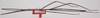 CollectionObject 1561155; 040c2275-e9ad-4e82-b679-b7d9c64f2b7f: copyright ZMSC. male (holotype). (CollectionObject).