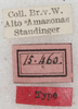 CollectionObject 1531284; NMW 15.460, 2fd990fc-f692-48ef-bcc2-4716a1d81b70: labels (syntype). (CollectionObject).