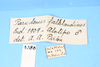 CollectionObject 1513762; 4f34c6f4-93d1-4511-8eb6-07f989094bad: labels. (CollectionObject).