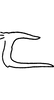 Pygofer, lateral view on Erythroneura vaga Johnson, 1934: Pygofer dorsal appendage. (Observation).