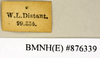 CollectionObject 1572960; 88aa3f46-c5fd-4fc0-afeb-ed933c414658: Copyright Natural History Museum, London. Labels from non-type (adult female) in BM(NH). (CollectionObject).