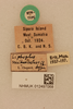 CollectionObject 2071163; 5c79364d-805b-4424-8eaf-854ab89c418e, NHMUK012497068: labels (syntypes). (CollectionObject).