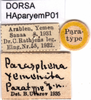 CollectionObject 1574010; eddb5be3-67cf-40d0-bf7c-026724bc1c9d: labels (paratype). (CollectionObject).