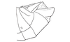 Digamacris amoena (Stål, 1878): Fig. 8. male abdomen tip, lateral view. (Otu).