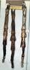 CollectionObject 1562341; NMW 268, 22040f2c-7b48-447f-a709-4628d898cd84: copyright NMW, Vienna. female (syntypes). (CollectionObject).