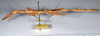 CollectionObject 1559580; 91b57ccb-65ed-4efa-9e80-2350cf0598a2: copyright ANSP. female, lateral view (syntype). (CollectionObject).;CollectionObject 1559581; 2a99ad7d-5733-4ed6-bc4b-4ba57605c87f: copyright ANSP. female, lateral view (syntype). (CollectionObject).