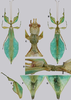 CollectionObject 1591579; d3af96cc-efec-499b-b273-cf963fa231a2: copyright RBINS, Brussels. male (paratype). (CollectionObject).
