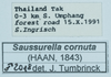 CollectionObject 1583402; dcf4d0cd-59b7-4914-a2fd-cabb8a20d510: labels. (CollectionObject).