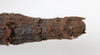 CollectionObject 1558172; 8948cf4d-207b-4e67-b86b-569924ea49cf: copyright NMW, Vienna. female: end of abdomen, lateral view (syntype). (CollectionObject).;CollectionObject 1558173; 08870ce4-b04c-4543-a31f-b1409d0348f5: copyright NMW, Vienna. female: end of abdomen, lateral view (syntype). (CollectionObject).