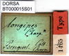 CollectionObject 1500329; 94d8d834-ec30-4bf4-beeb-6ce142f77b22, DORSA BT000015S01: labels (syntype). (CollectionObject).