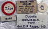 CollectionObject 1539825; d35eb94e-4f5b-48a7-ae48-ce31593cc3c5: labels (holotype). (CollectionObject).