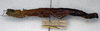 CollectionObject 1561396; NMW 265, 9856651f-9abb-4d35-8902-8415c01abcab: copyright NMW, Vienna. female, lateral view (syntype). (CollectionObject).