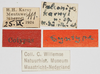 CollectionObject 1580737; 0b06e092-e292-43f9-b216-5dbe09ada5cb: labels (syntype). (CollectionObject).